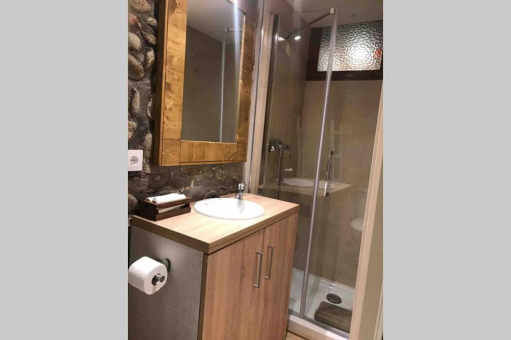 Puigcerda Centro. Acogedor Apartament En El Pueblo Exteriér fotografie